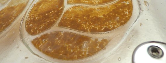 Close up of Eternal Angel Wings fused glass art by Vitreus Art