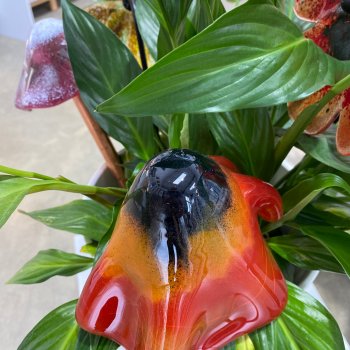 Make your own fused glass garden mushrooms on this workshop with Vitreus Art