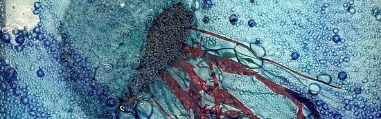 Original fused glass art by Jenny Timms of Vitreus Art, on show at the gallery near Towcester and Milton Keynes in Northants