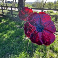 Ricorda Sempre - Always Remember metal and glass Poppies garden Sculpture by Vitreus Art